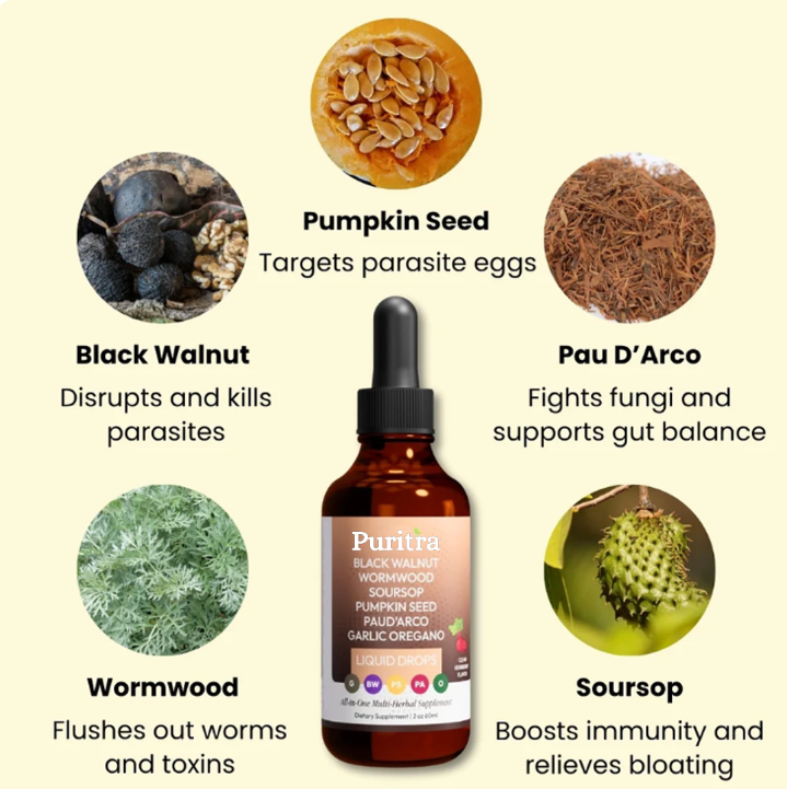 Black Walnut Wormwood Parasite Cleanse
